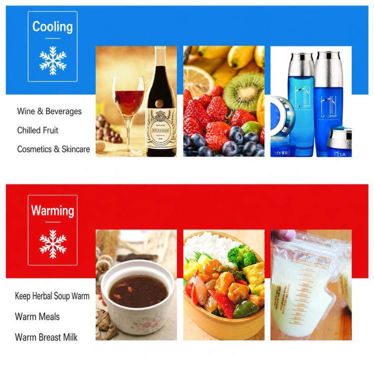 BLD-06A Portable Car Fridge Mini Heating & Cooling Box For Vehicle Use, 6L 12V, 6L 12V+24V, 6L 12V Double-Hole