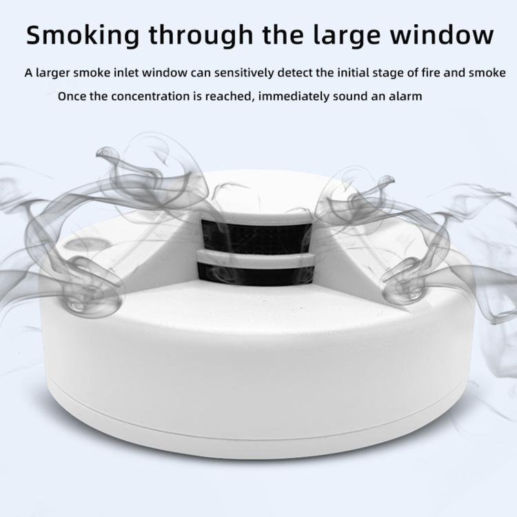 Standalone Smoke Alarm Household Fire Smoke Detector, English, Russian