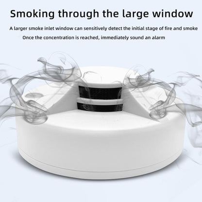 Standalone Smoke Alarm Household Fire Smoke Detector, English, Russian